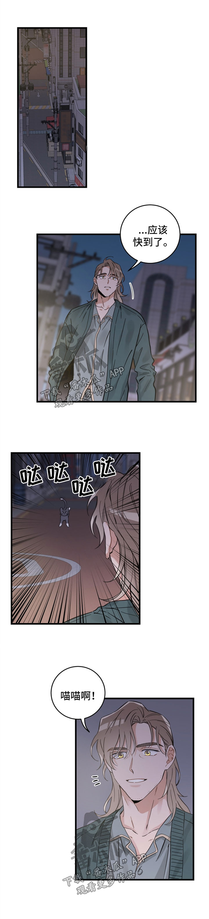 亲爱的喵君免费漫画在线漫画,第83章：星星2图