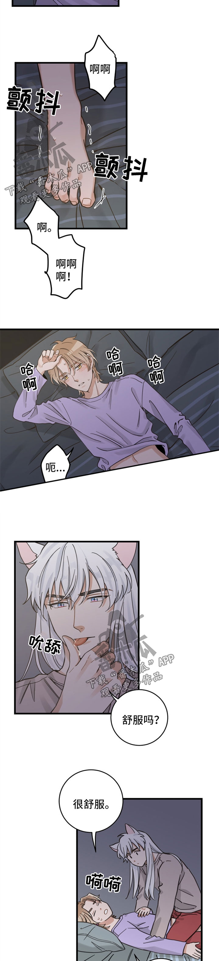 亲爱的喵君免费漫画在线漫画,第85章：打扰好事2图