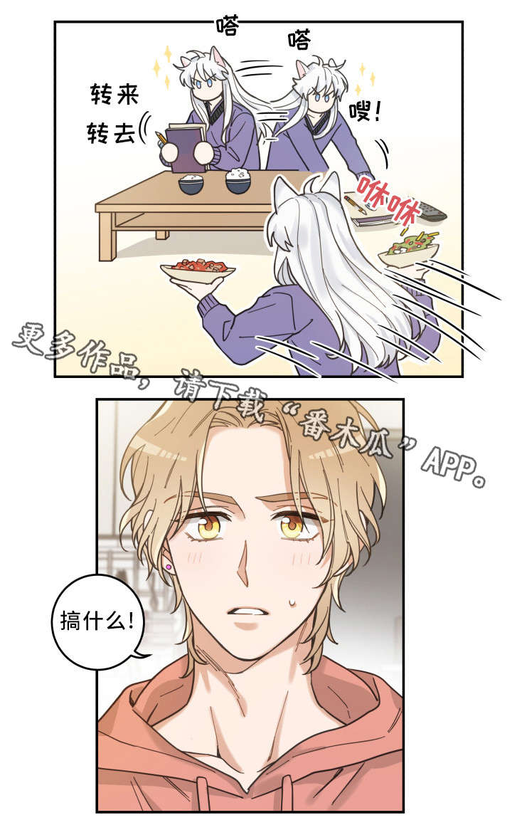 亲爱的喵君漫画,第11章：钻箱子1图