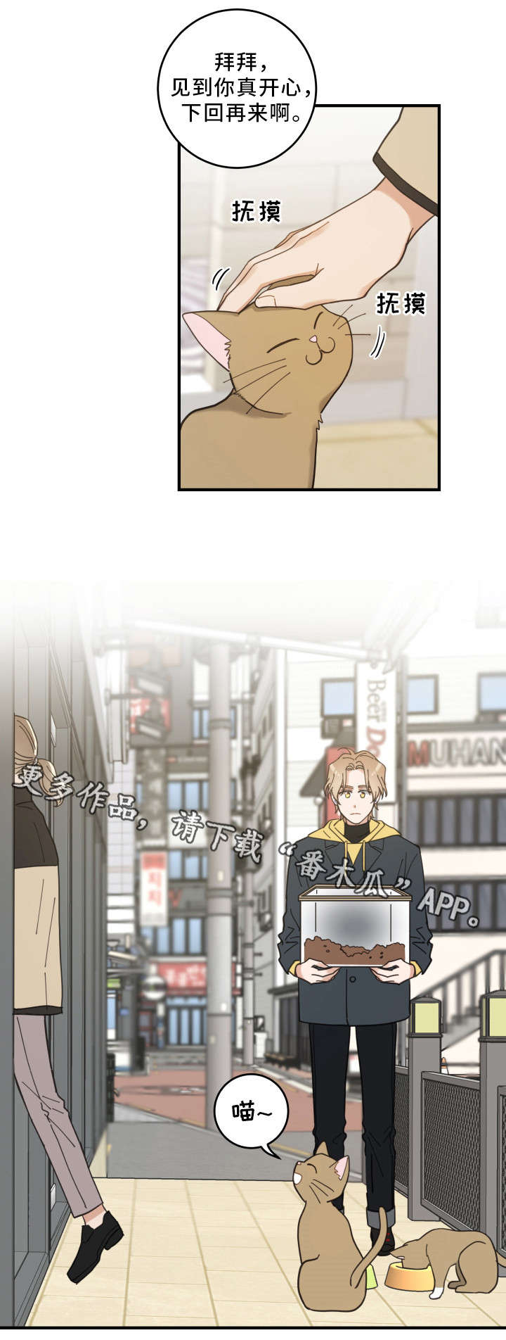 亲爱的喵君免费漫画在线漫画,第23章：再遇1图