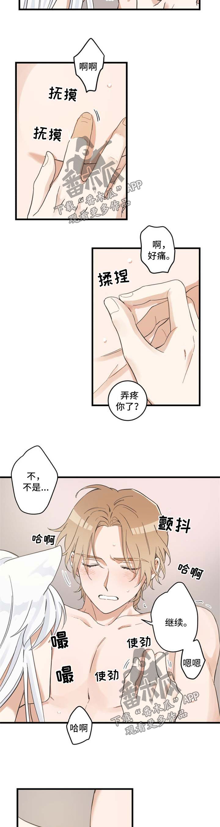 亲爱的喵君免费漫画在线漫画,第78章：做你想做的1图