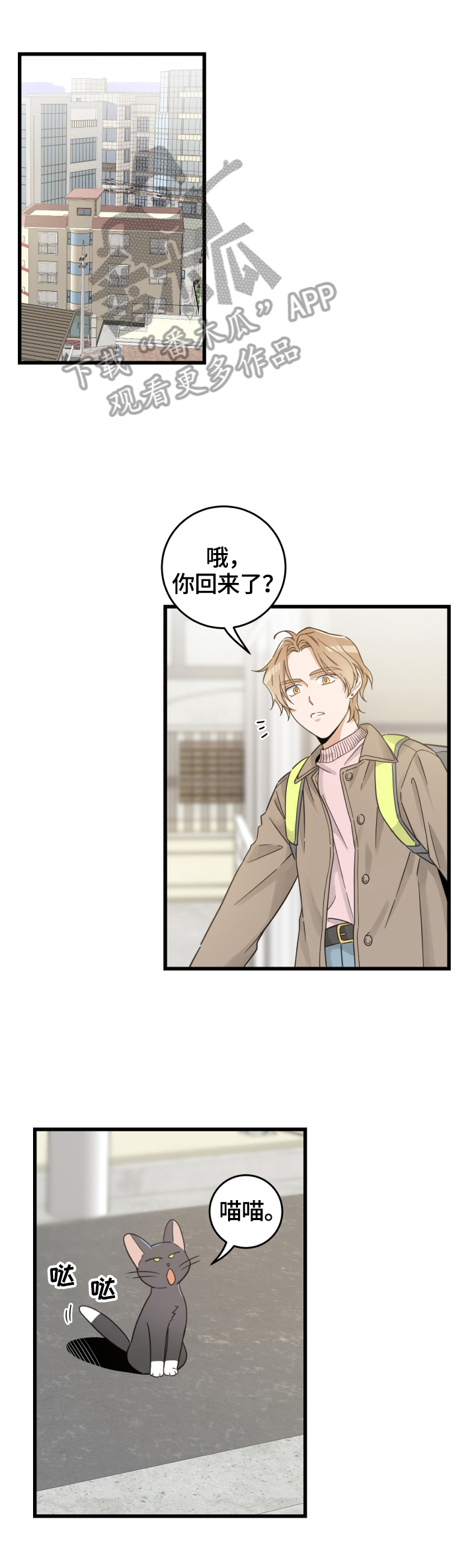 亲爱的喵君免费漫画在线漫画,第70章：安慰1图