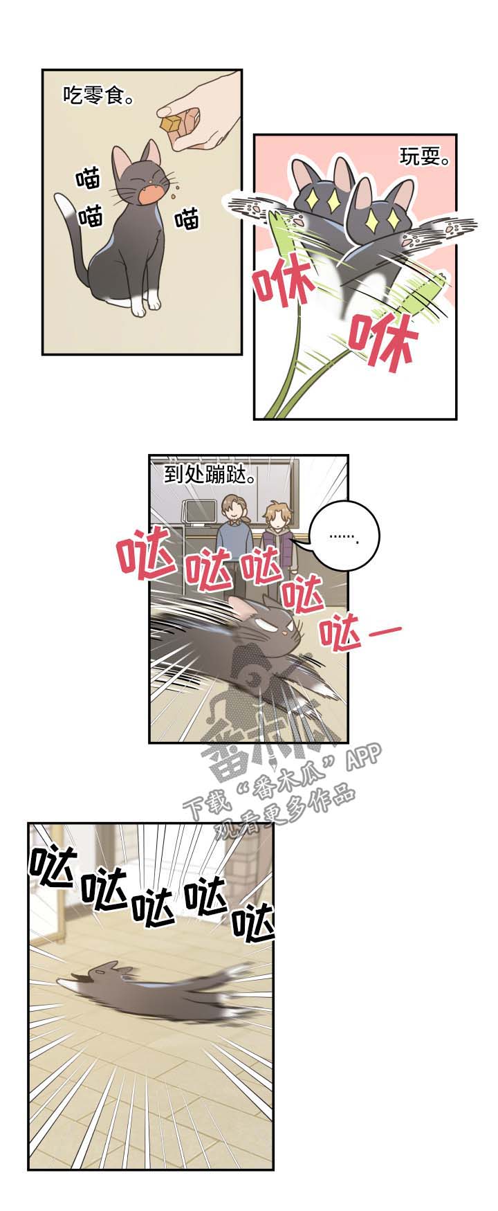 电视剧亲爱的喵先生剧情介绍漫画,第44章：快乐生活1图