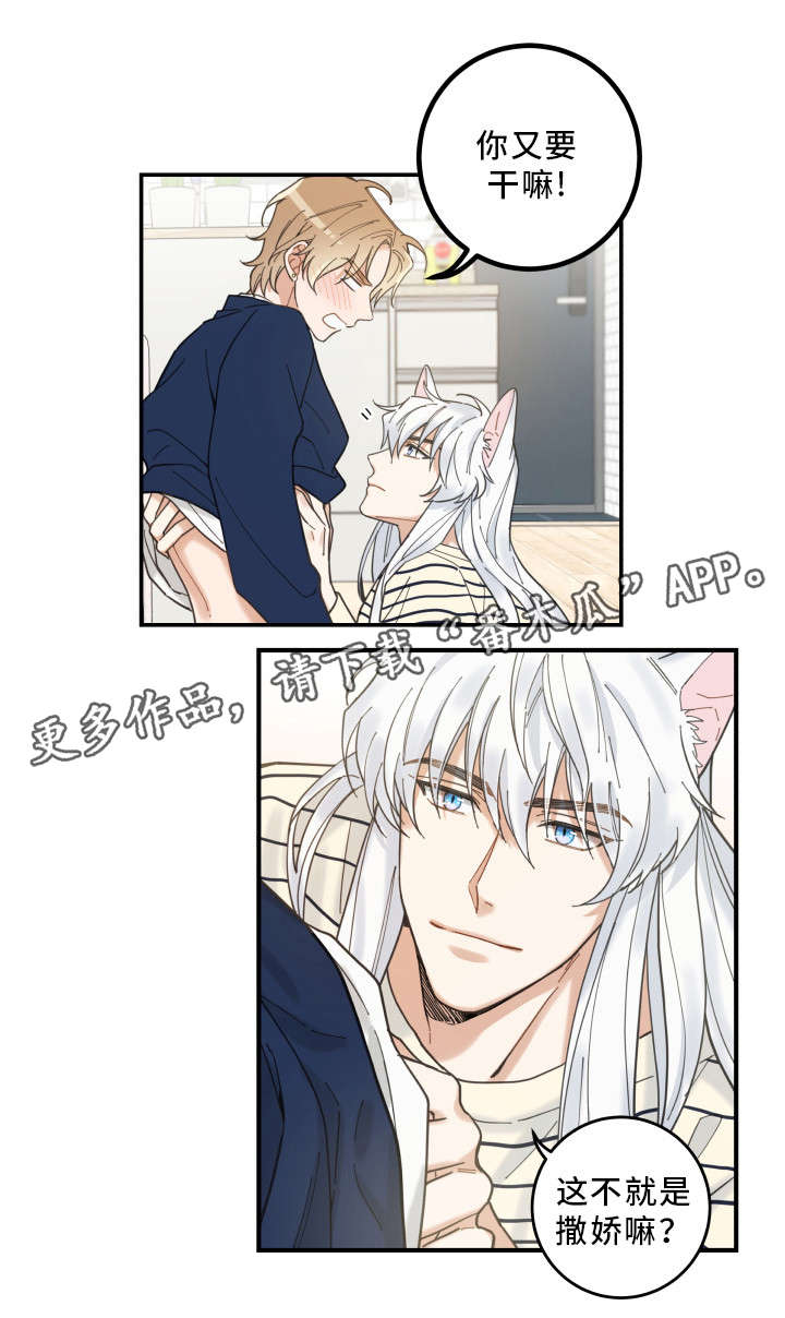 亲爱的喵君免费漫画在线漫画,第9章：换衣服1图
