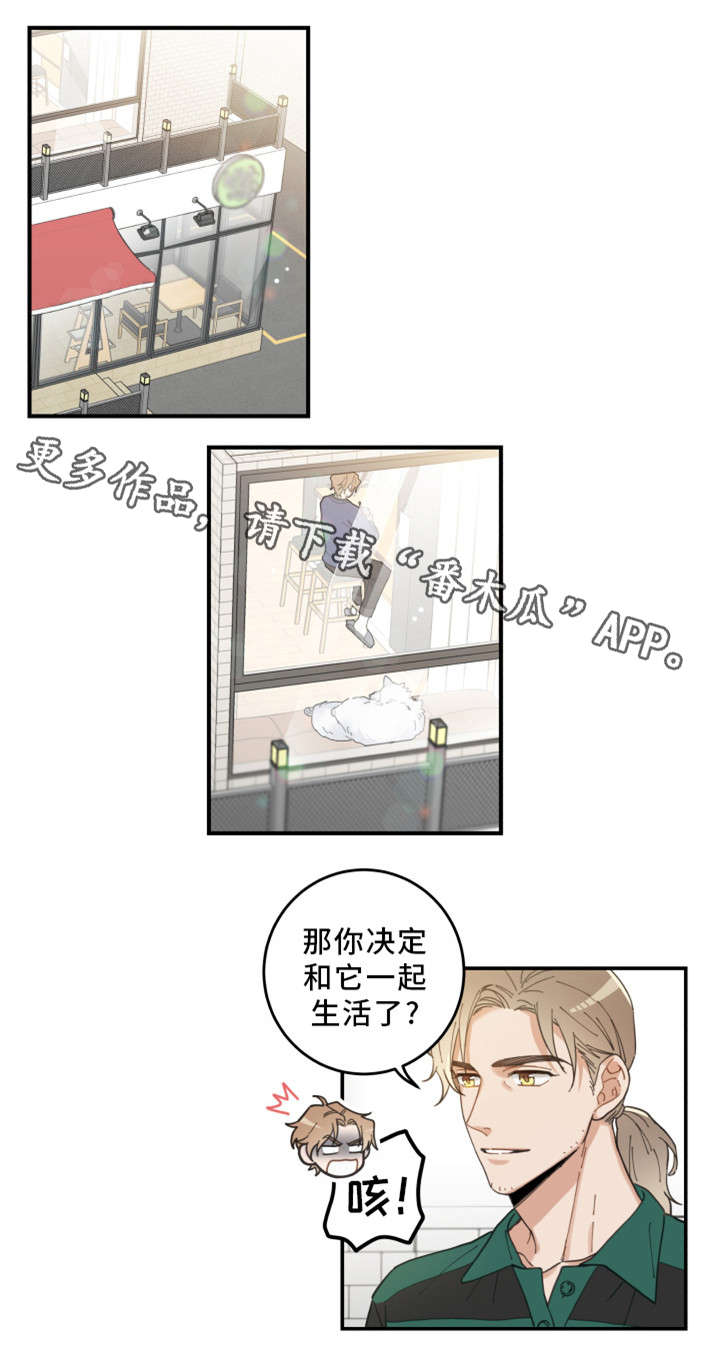 亲爱的喵君免费漫画在线漫画,第10章：负责到底2图