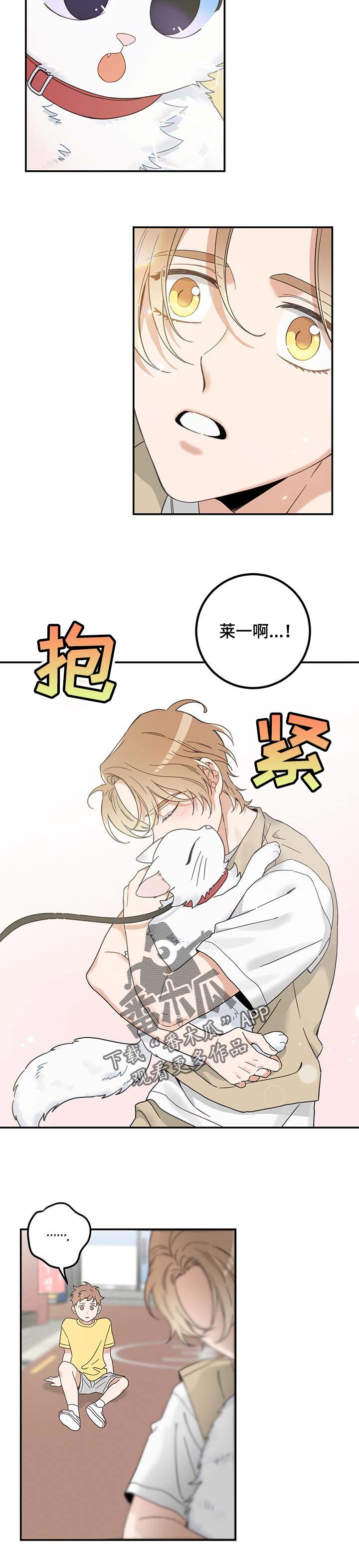 亲爱的喵君漫画,第111章：重逢1图