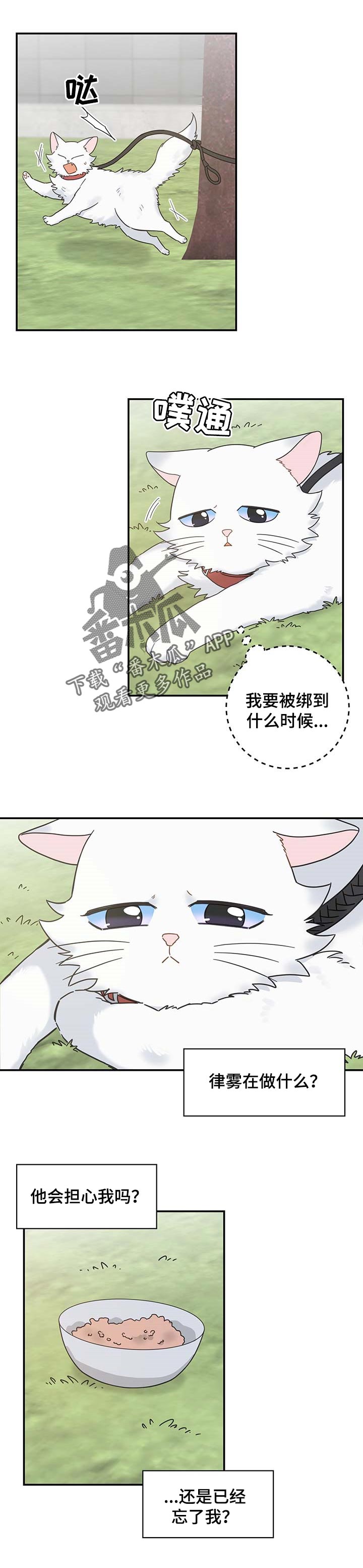 亲爱的喵君漫画,第110章：找到了1图