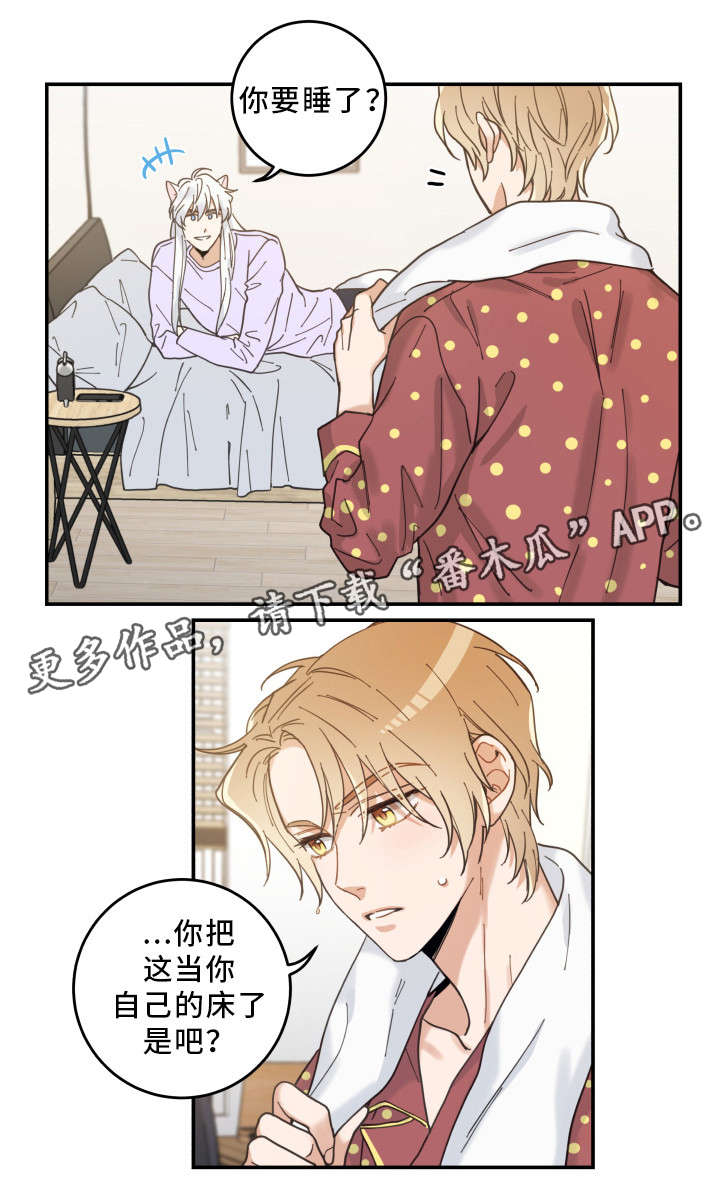 亲爱的喵君免费漫画在线漫画,第12章：无事发生1图