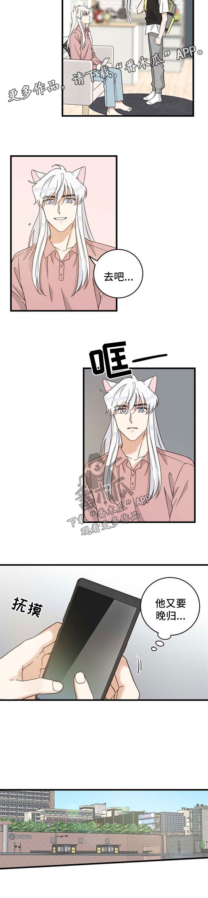亲爱的喵君免费漫画在线漫画,第90章：像梦一样1图