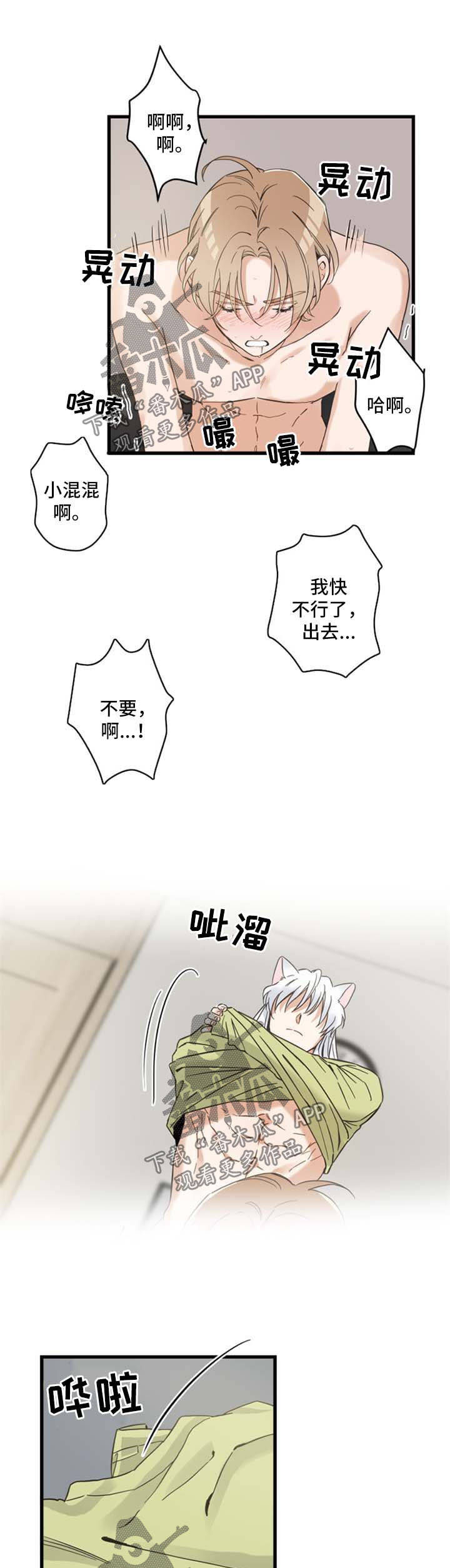 亲爱的喵君免费漫画在线漫画,第78章：做你想做的2图