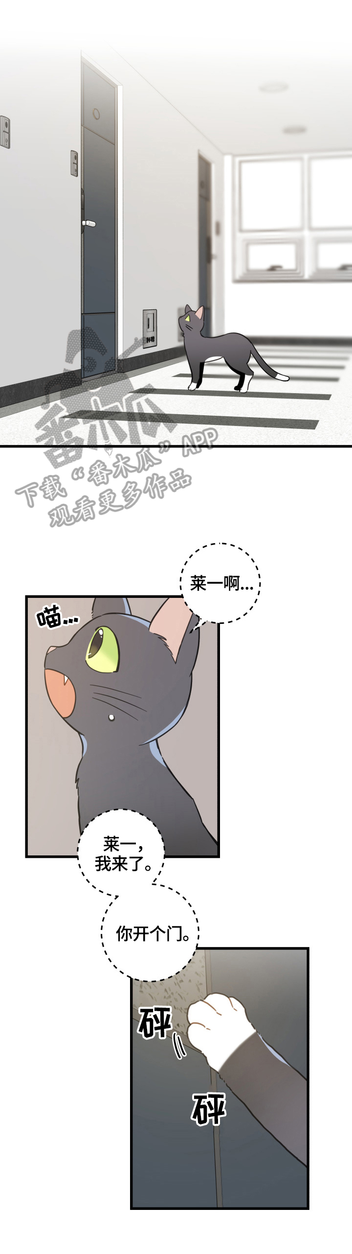 亲爱的喵君免费漫画在线漫画,第70章：安慰2图