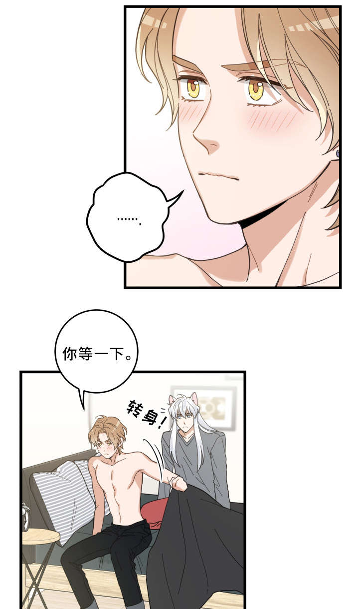 亲爱的喵君免费漫画在线漫画,第25章：分享爱1图