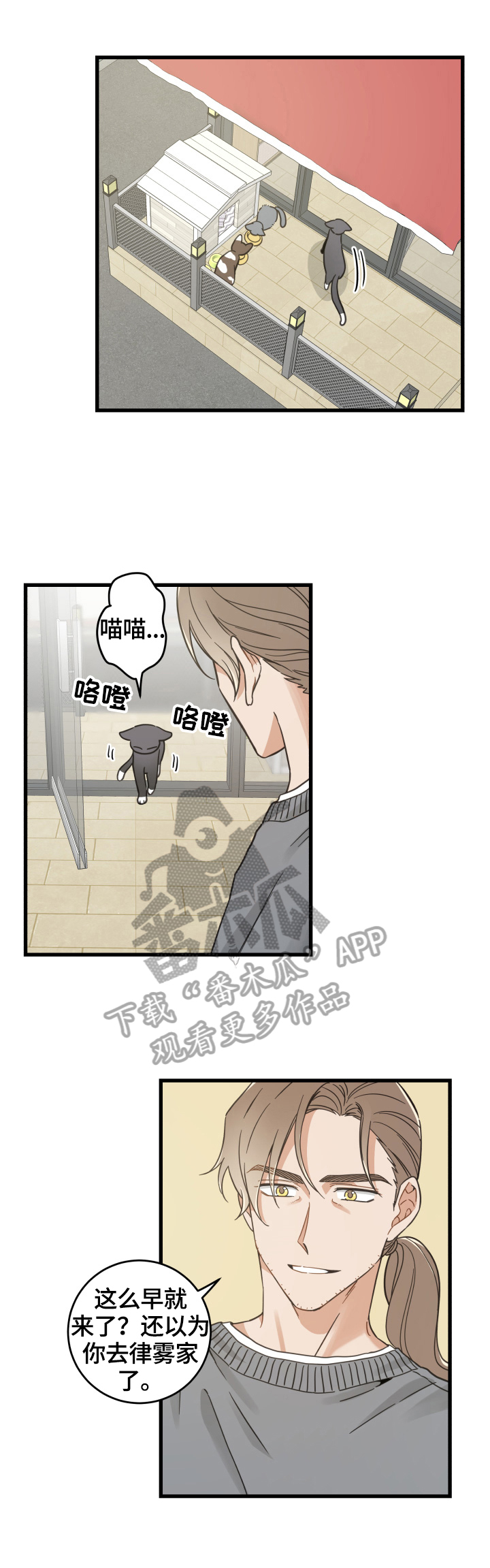 亲爱的喵君免费漫画在线漫画,第70章：安慰2图