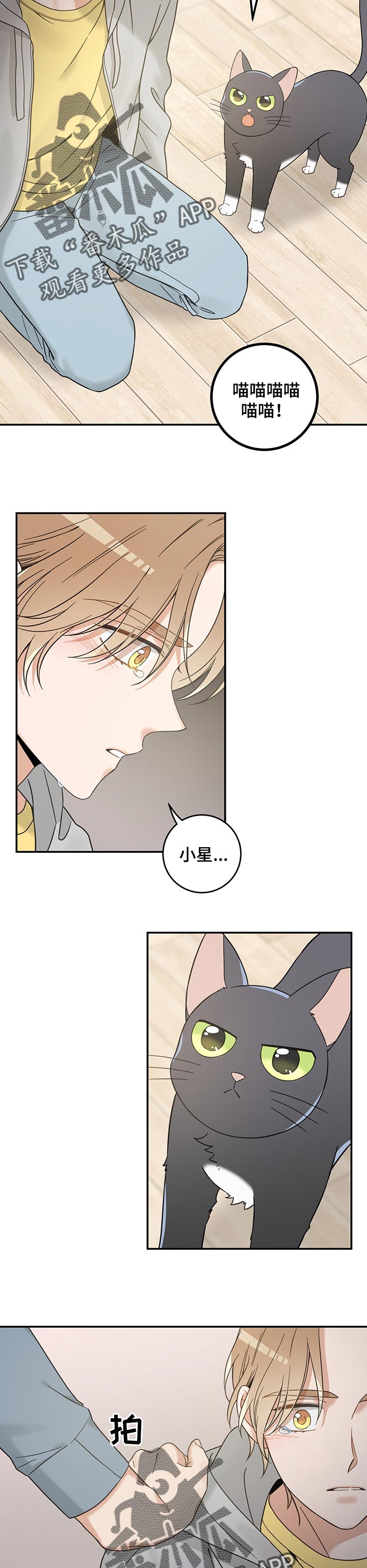 亲爱的喵君漫画,第105章：一定能找到2图