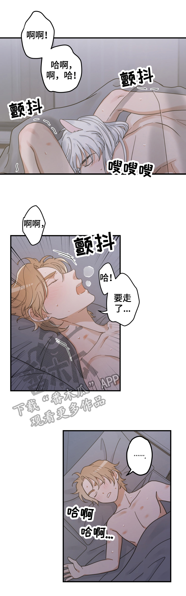 亲爱的喵君免费漫画在线漫画,第52章：办法2图