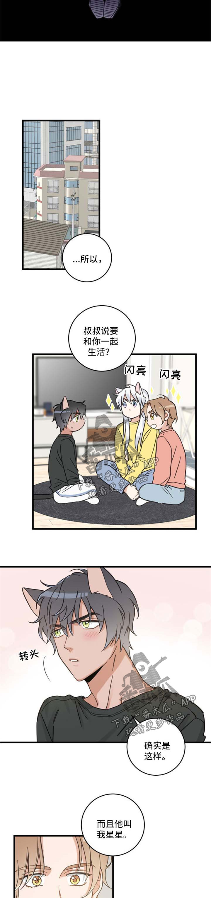 亲爱的喵君免费漫画在线漫画,第86章：不同的喜欢2图
