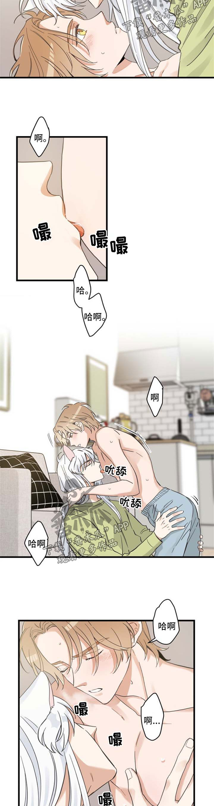 亲爱的喵君免费漫画在线漫画,第78章：做你想做的2图