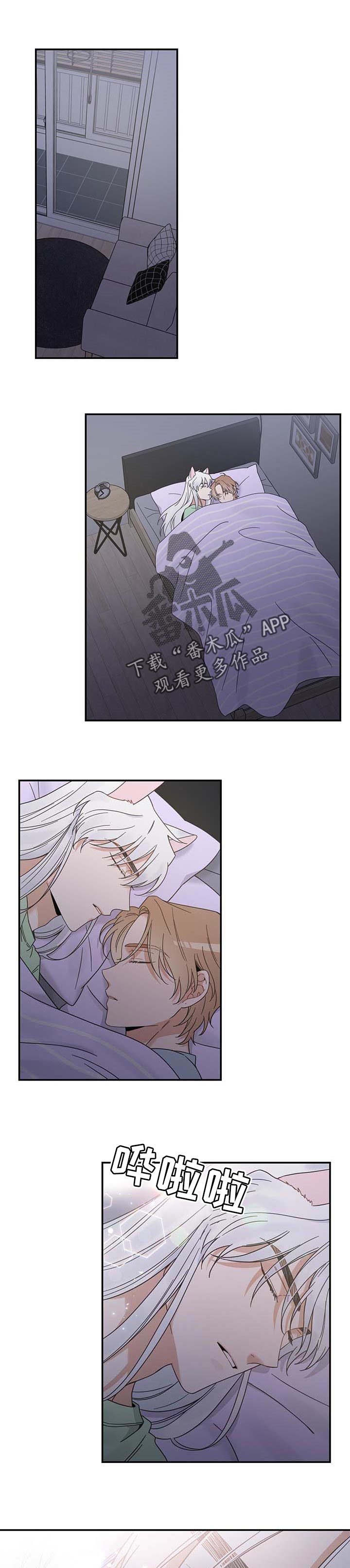 亲爱的喵君免费漫画在线漫画,第115章：变成人了1图