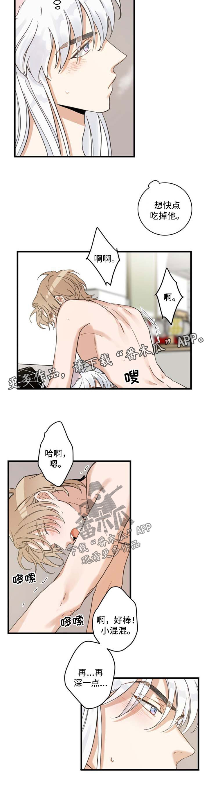 亲爱的喵君免费漫画在线漫画,第78章：做你想做的1图