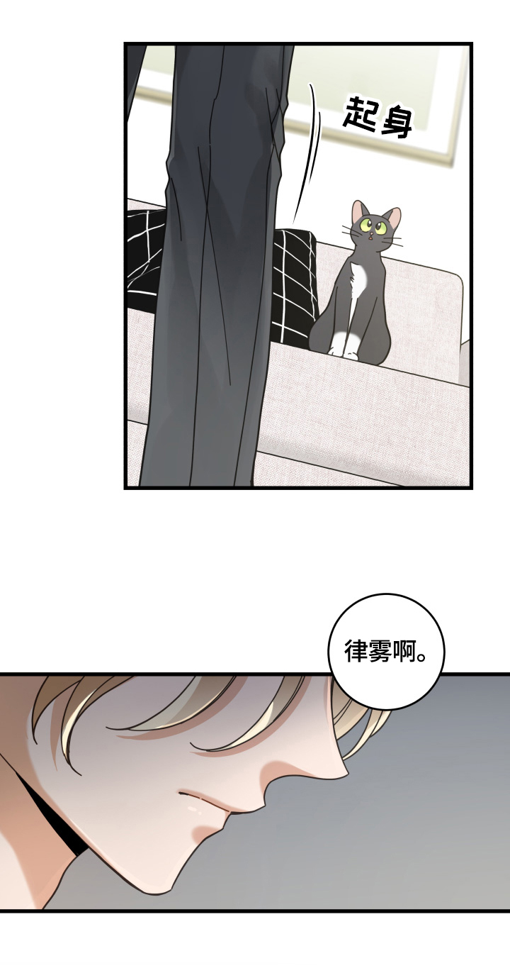 亲爱的喵君免费漫画在线漫画,第59章：不同意2图