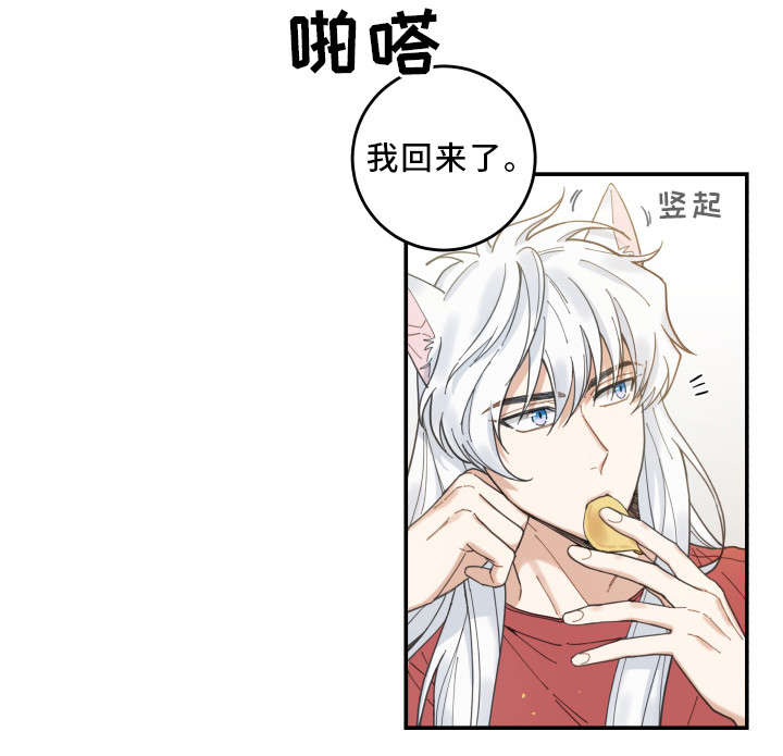 亲爱的喵君免费漫画在线漫画,第9章：换衣服2图