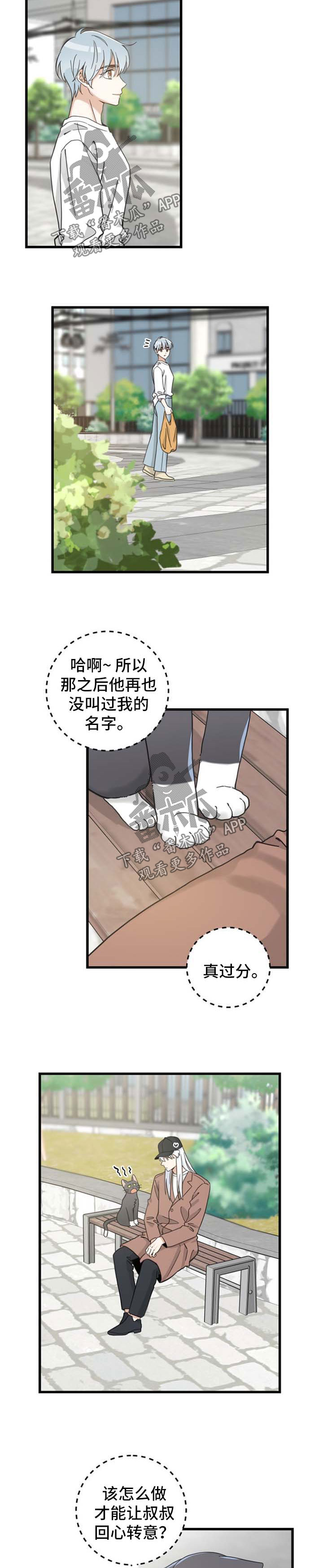 亲爱的喵君免费漫画在线漫画,第91章：偶遇2图