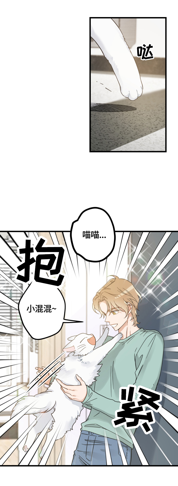 亲爱的喵君免费漫画在线漫画,第65章：忍不了1图