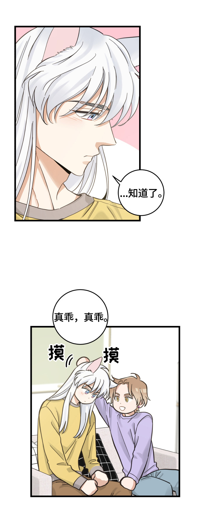 亲爱的喵君免费漫画在线漫画,第71章：原谅1图
