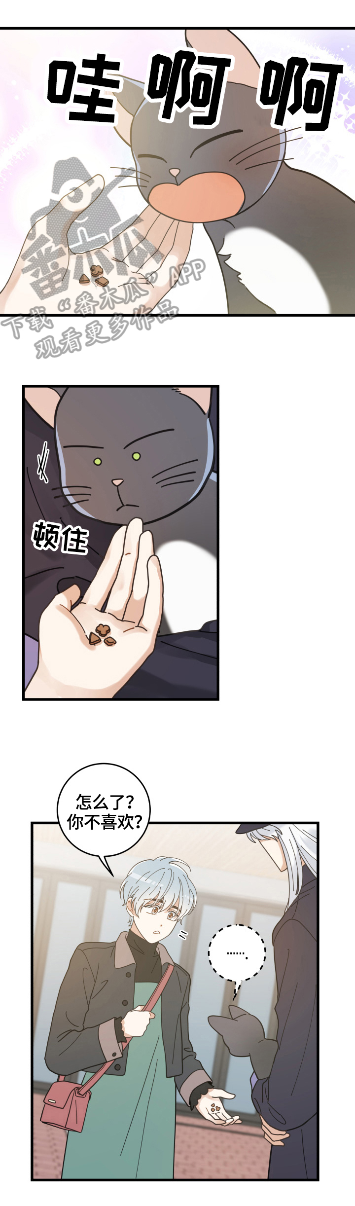 亲爱的喵君免费漫画在线漫画,第56章：不能碰的东西1图