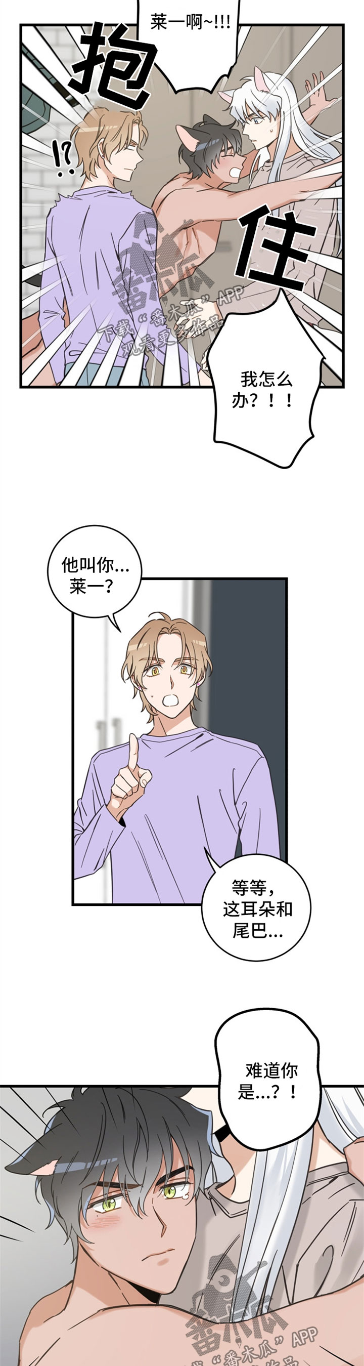亲爱的喵君免费漫画在线漫画,第85章：打扰好事1图