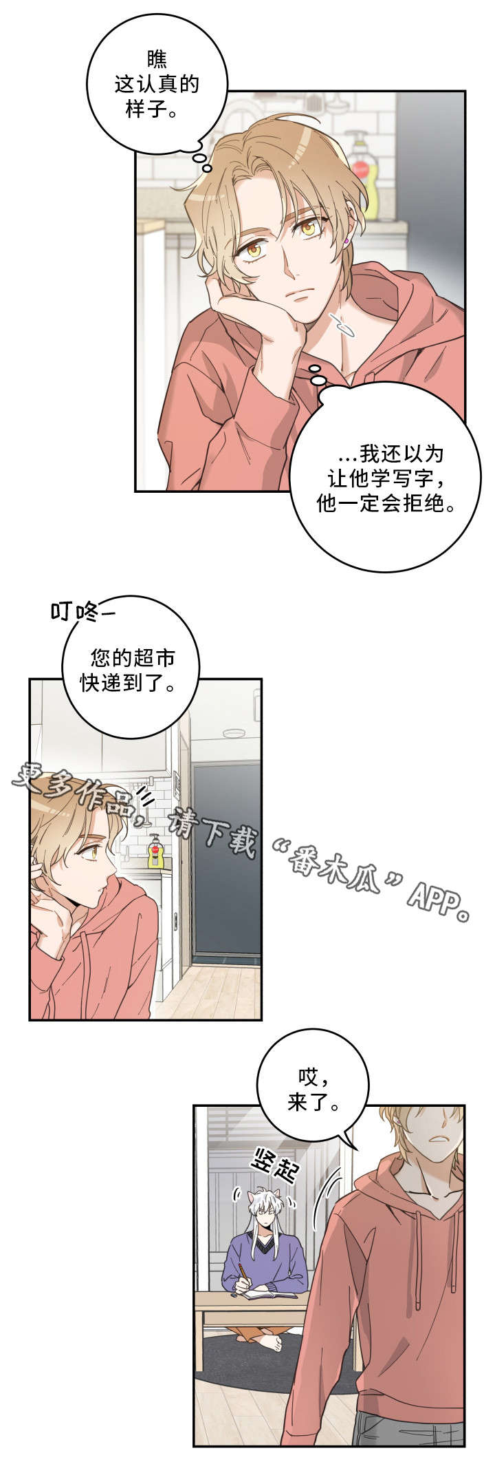 亲爱的喵君免费漫画在线漫画,第11章：钻箱子2图