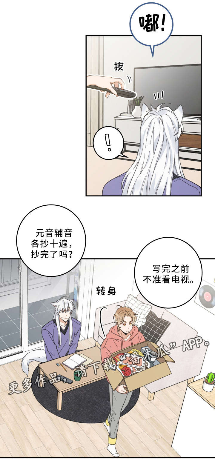 亲爱的喵君免费漫画在线漫画,第11章：钻箱子1图