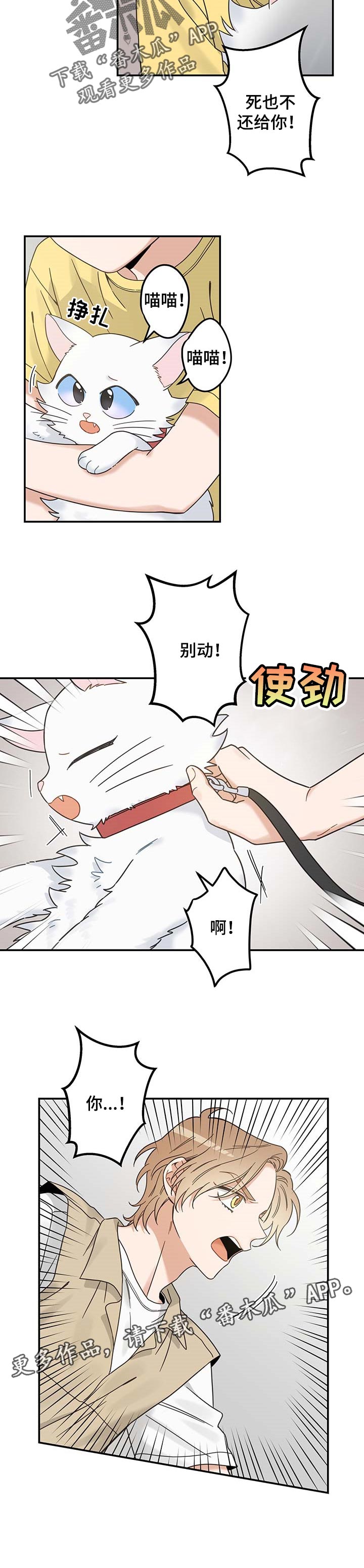 亲爱的喵君免费漫画在线漫画,第110章：找到了2图