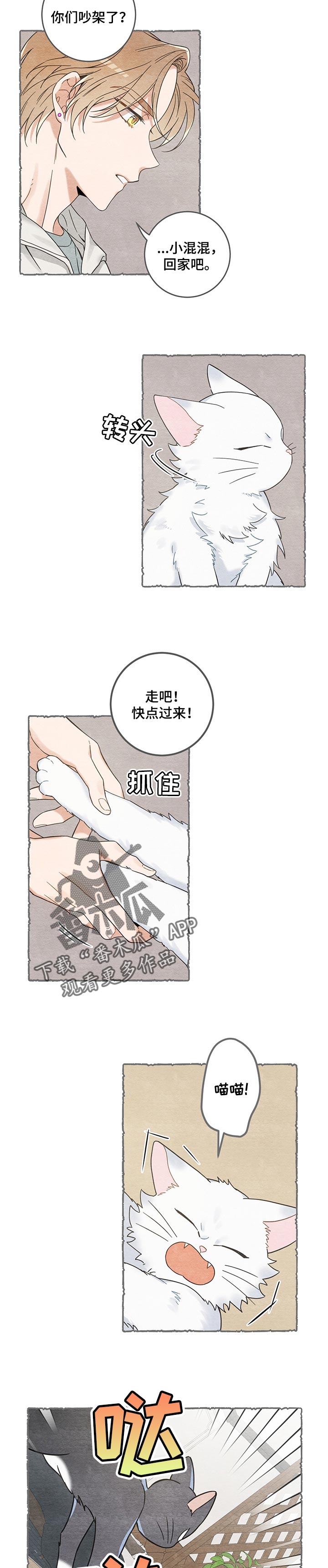 亲爱的喵君漫画,第102章：撒气2图