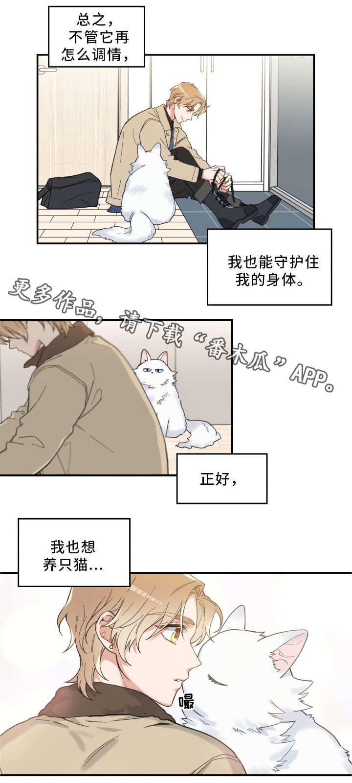亲爱的喵君免费漫画在线漫画,第10章：负责到底1图