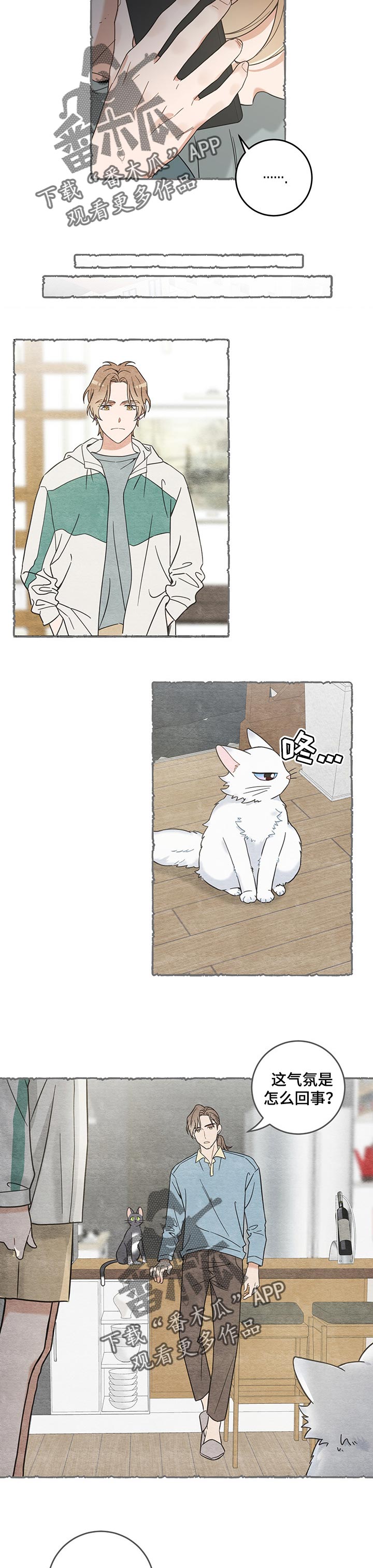 亲爱的喵君漫画,第102章：撒气1图