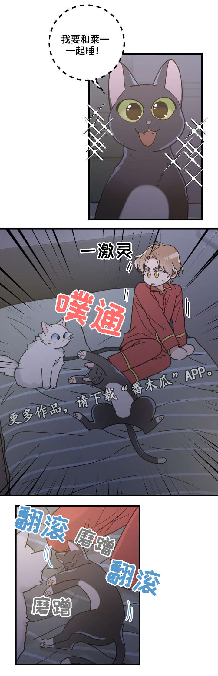 亲爱的喵君免费漫画在线漫画,第39章：你别走1图