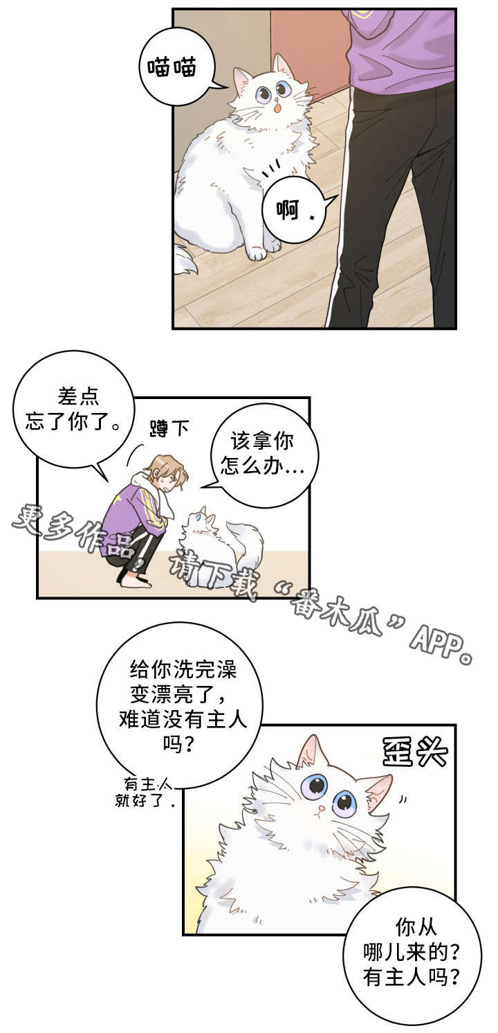 亲爱的喵君免费漫画在线漫画,第4章：我要呆在这1图
