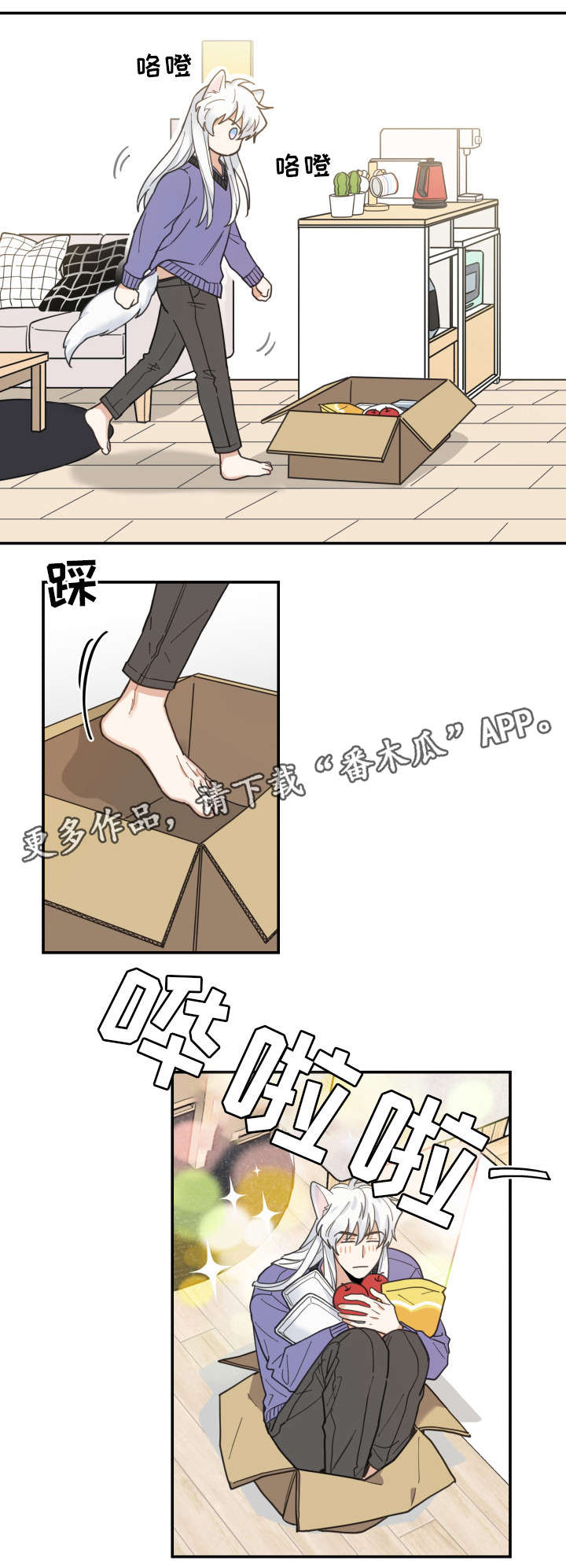 亲爱的喵君免费漫画在线漫画,第11章：钻箱子1图