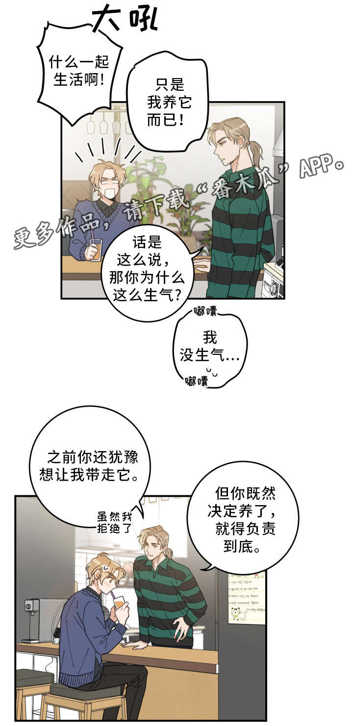 亲爱的喵君漫画,第10章：负责到底1图