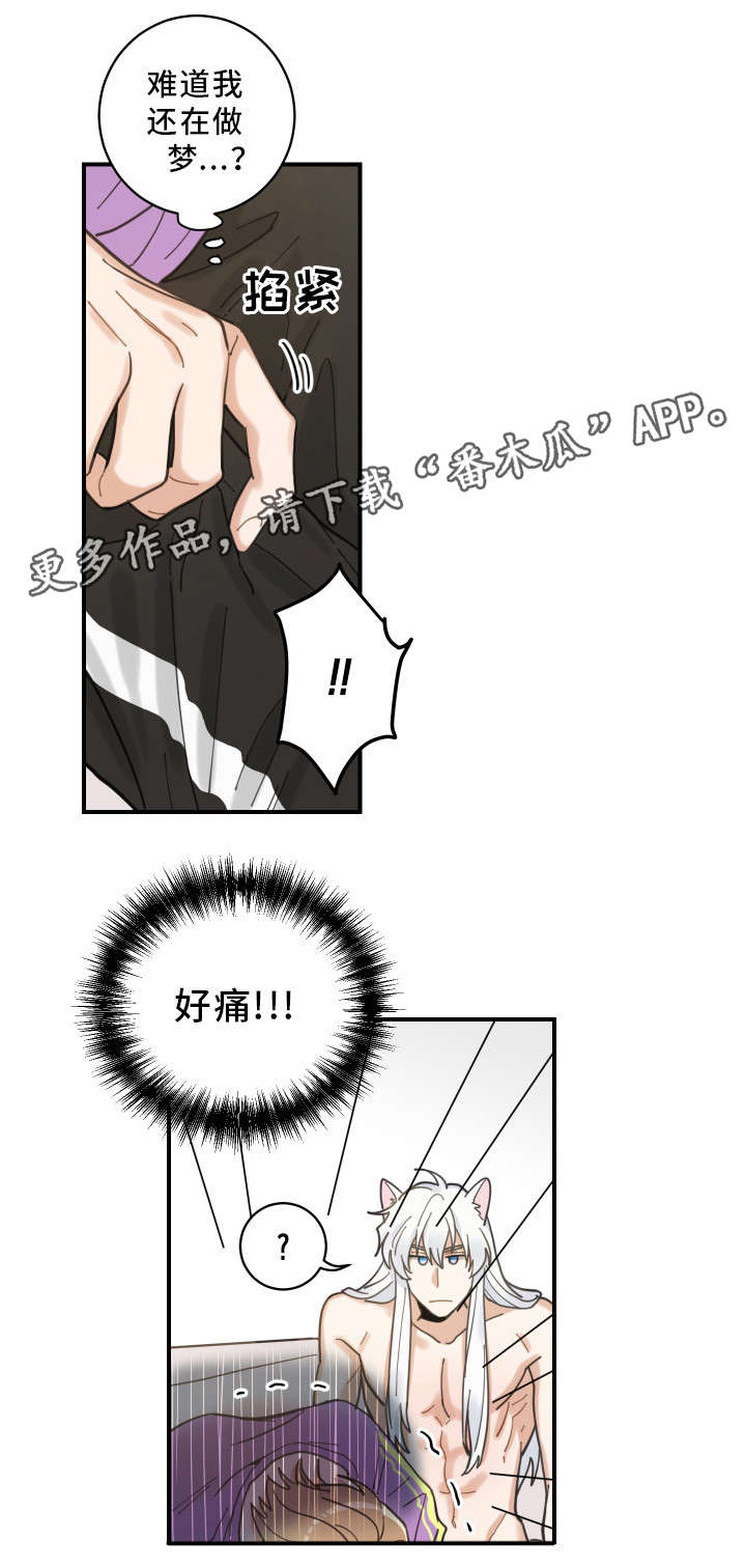 亲爱的喵君免费漫画在线漫画,第5章：推开1图