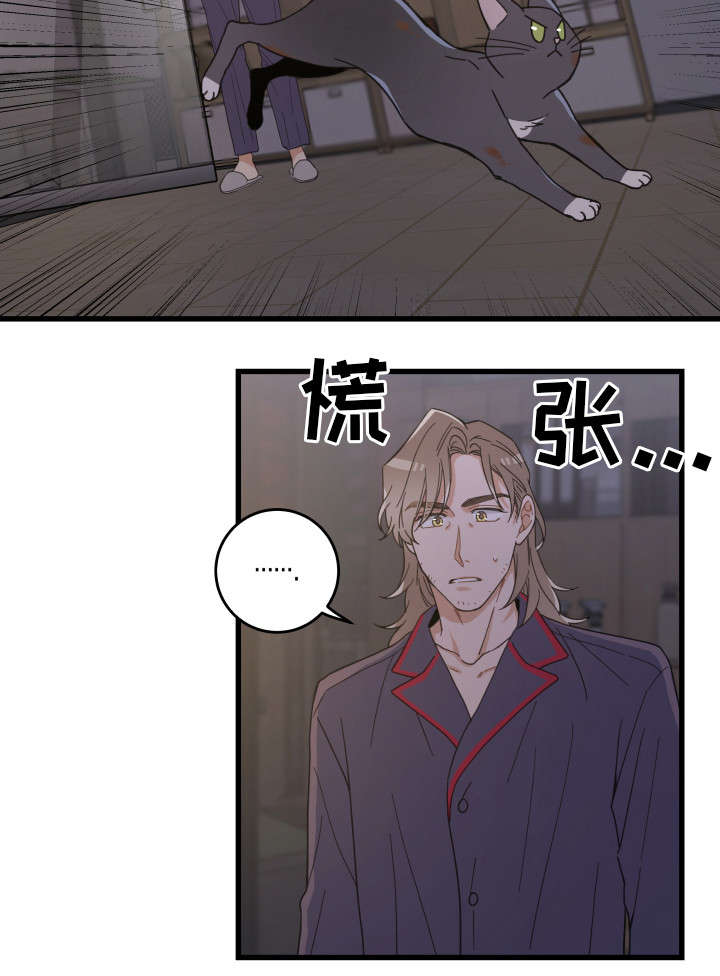 亲爱的喵君免费漫画在线漫画,第35章：盯1图