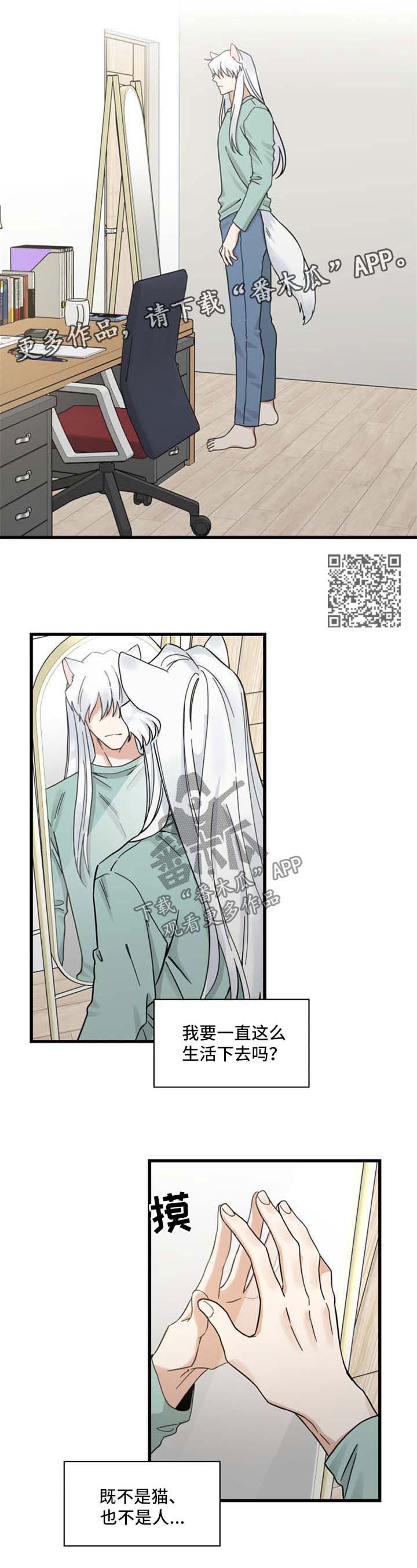 亲爱的喵君漫画,第94章：忧愁2图