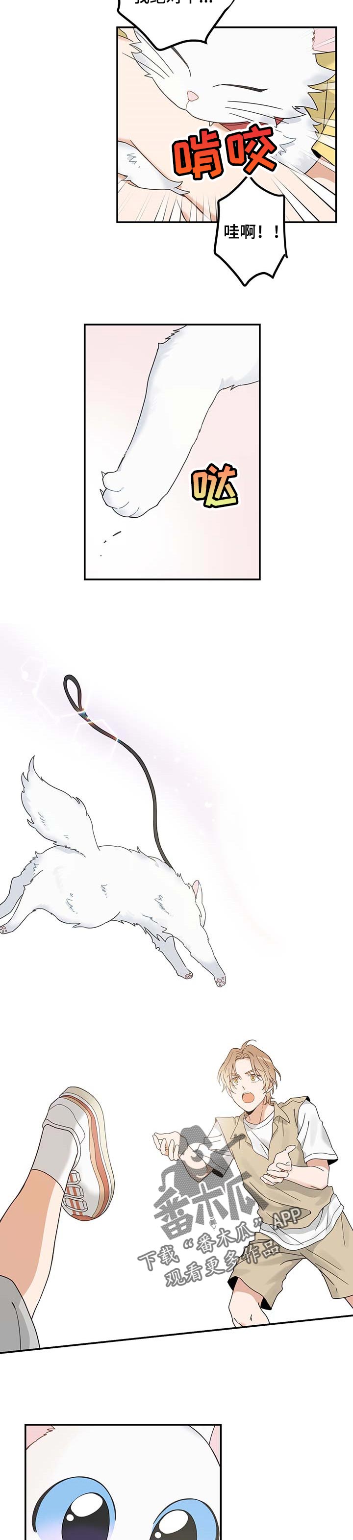 亲爱的喵君漫画,第111章：重逢2图