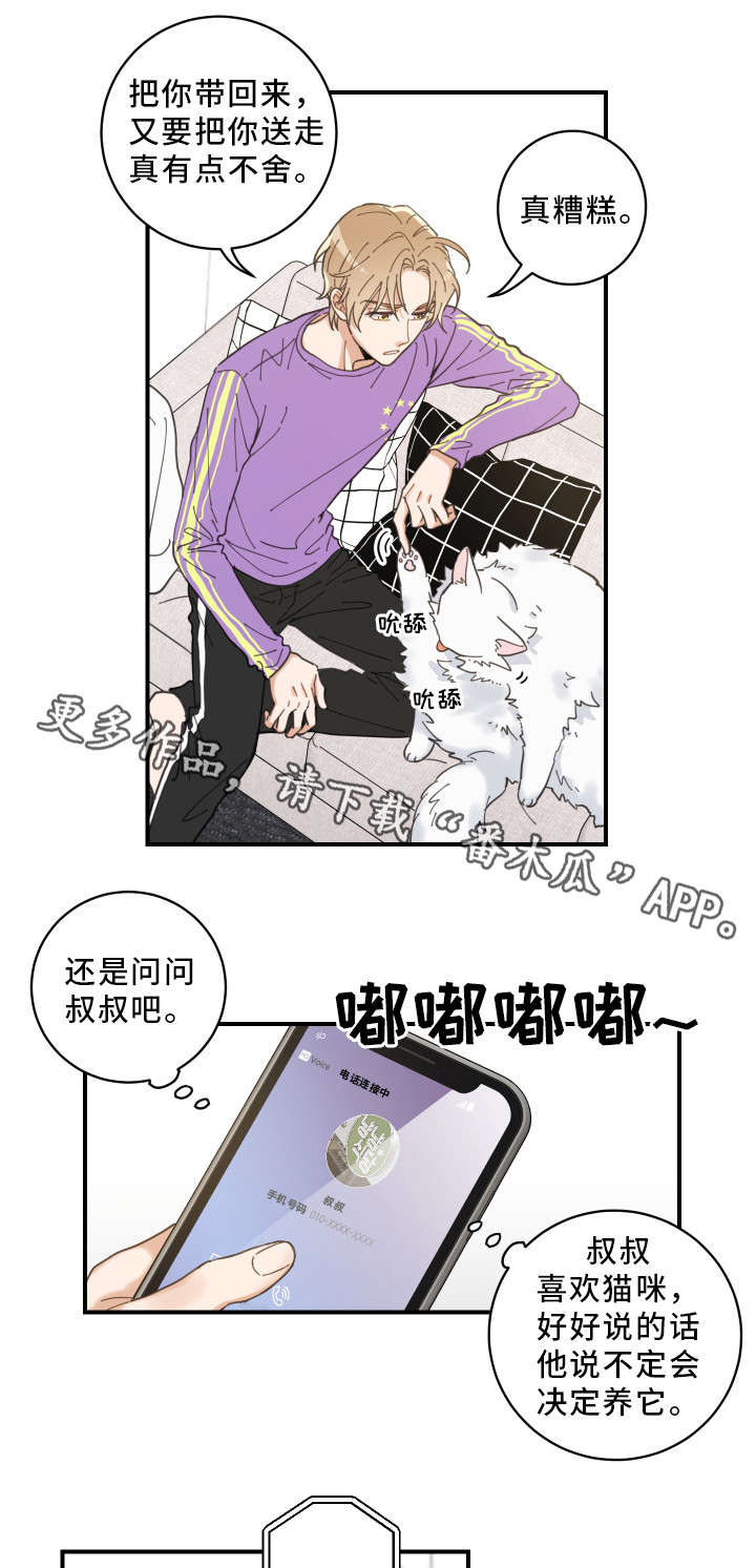 亲爱的喵君免费漫画在线漫画,第4章：我要呆在这1图