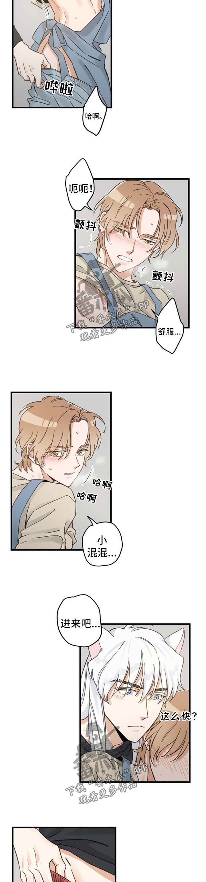 亲爱的喵君漫画,第93章：爱情事业双丰收2图