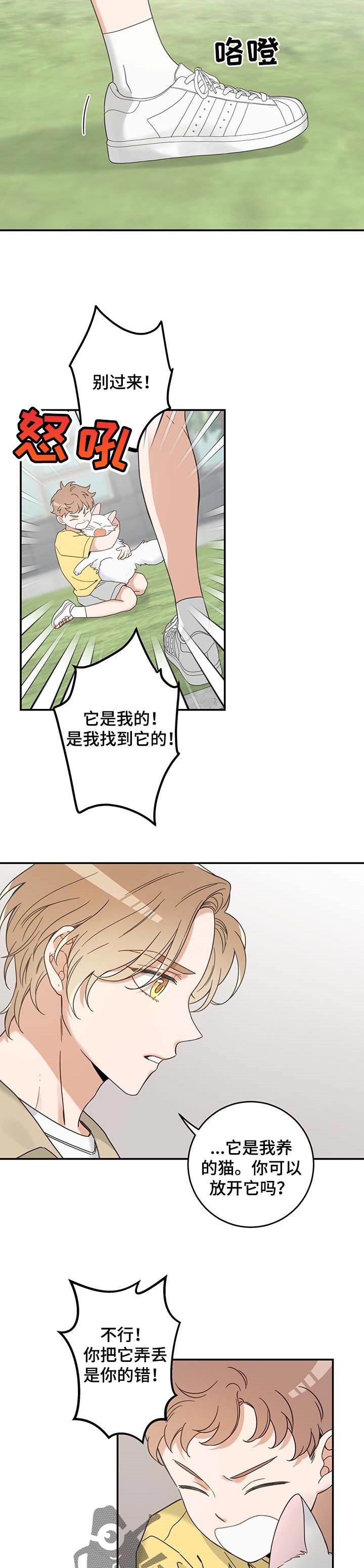 亲爱的喵君免费漫画在线漫画,第110章：找到了1图
