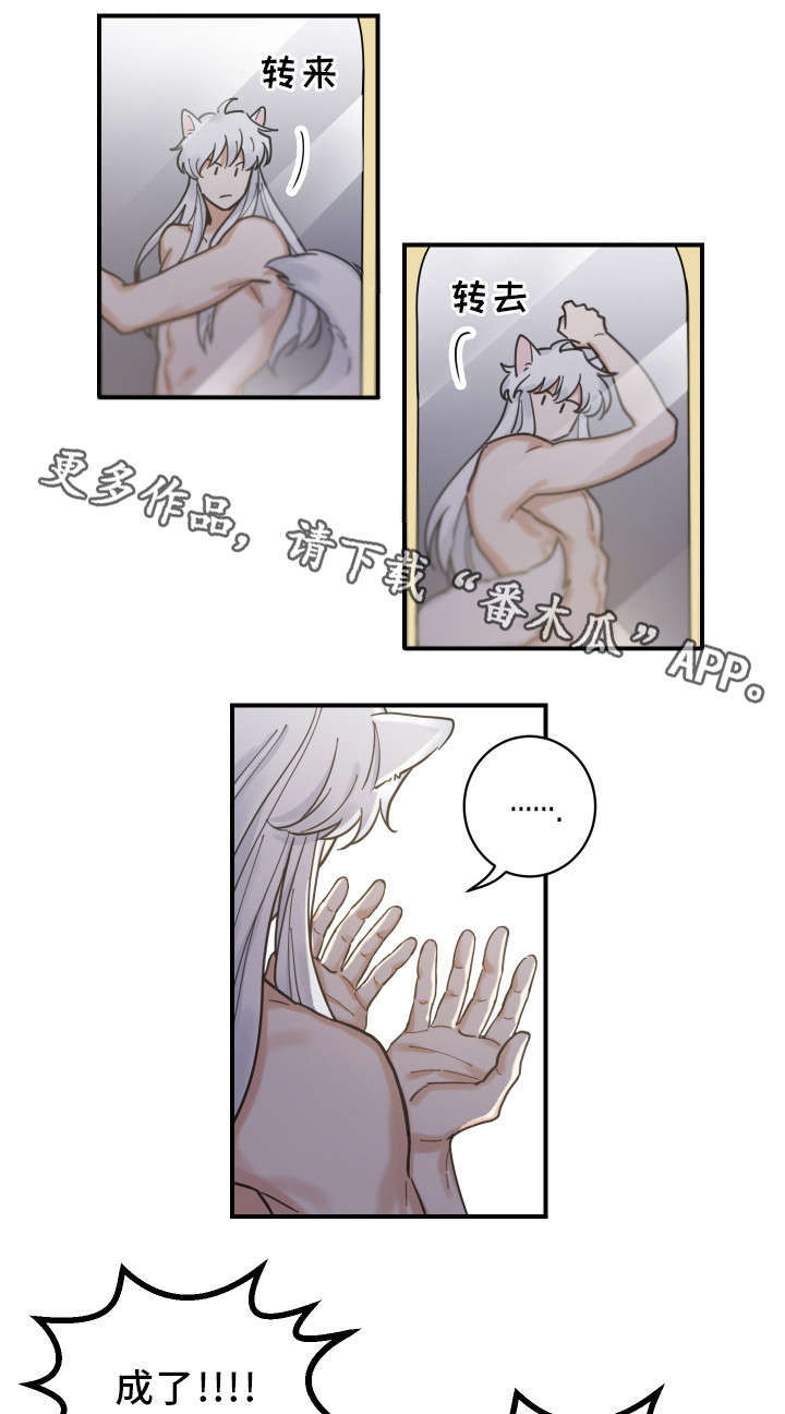 亲爱的喵君免费漫画在线漫画,第3章：梦2图