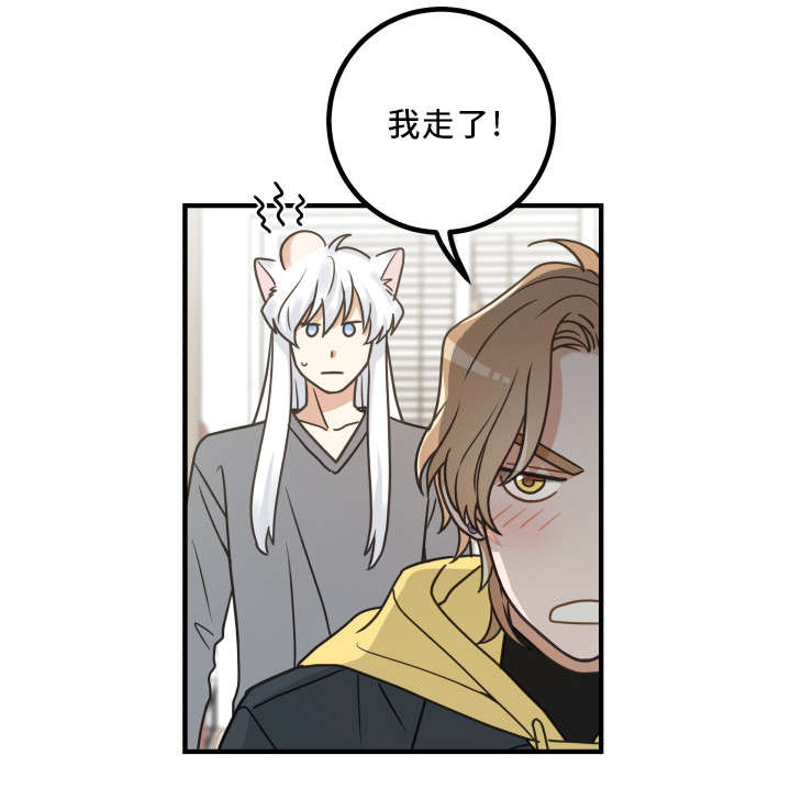 亲爱的喵君免费漫画在线漫画,第23章：再遇1图