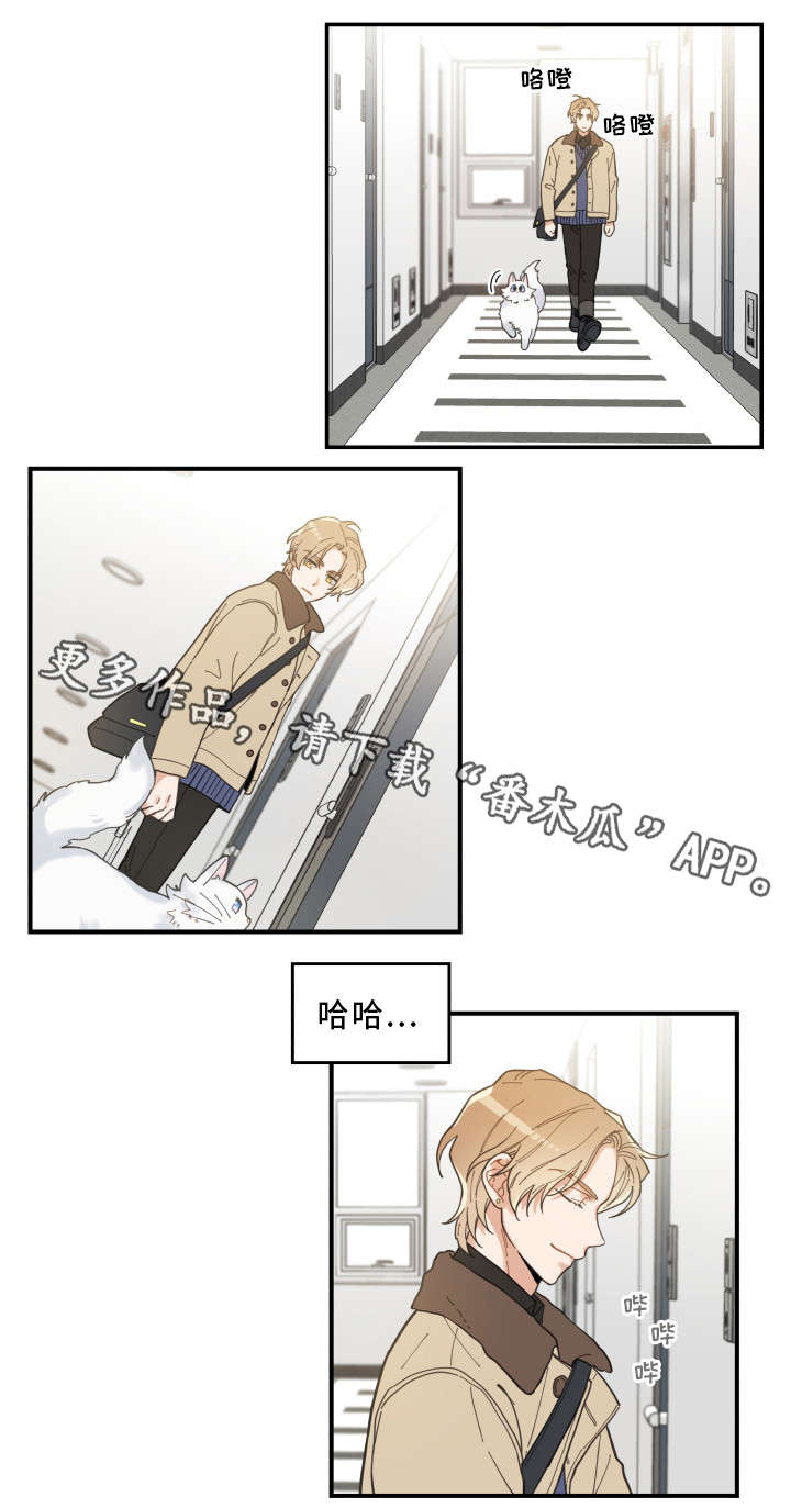 亲爱的喵君免费漫画在线漫画,第10章：负责到底1图